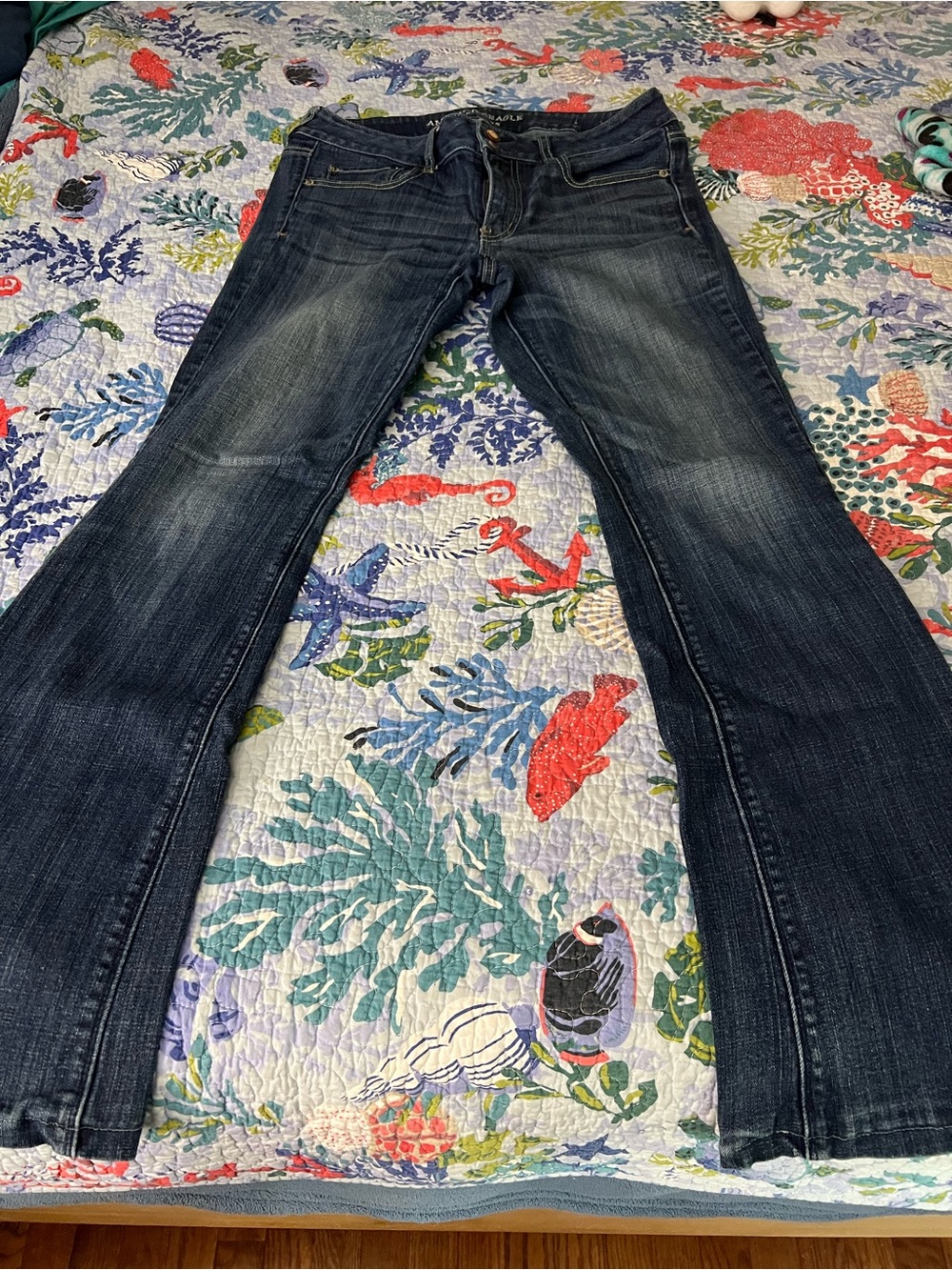 American Eagle Outfitters Artist Flare Jeans - 12L